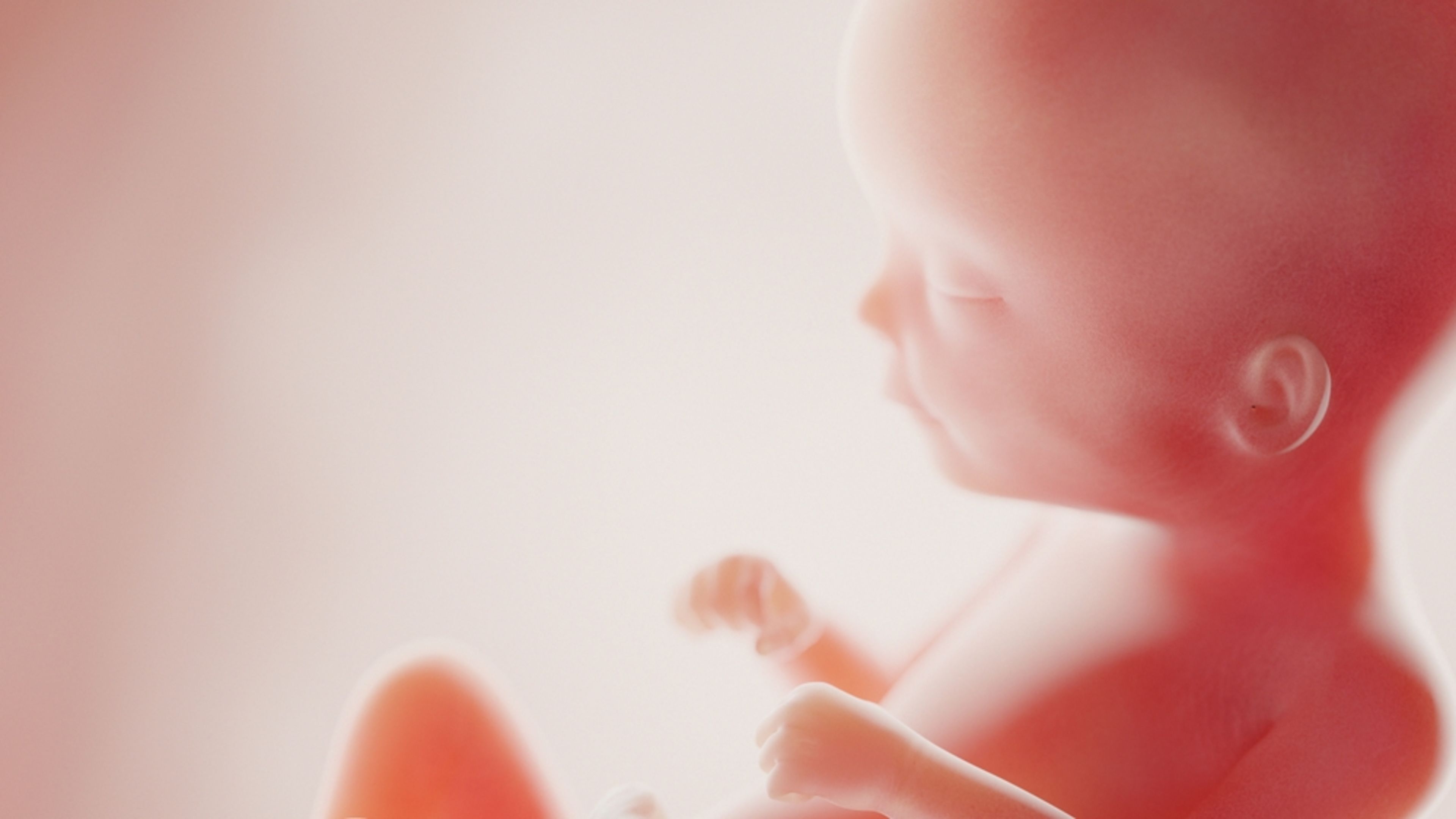 Day of the Unborn Child celebrated today