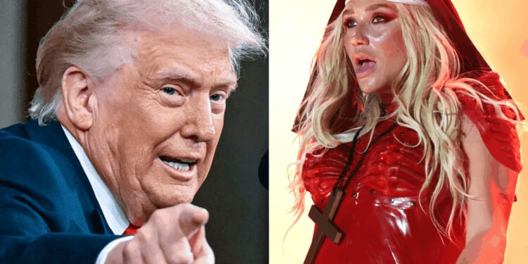'Disgusting and inhumane': Pop singer furious that her song was used by White House 'to incite violence'