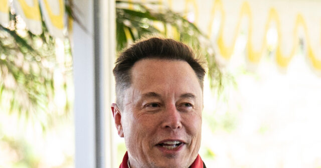 Elon Musk Offers to Cover Pay for TSA Agents as Shutdown Drags On