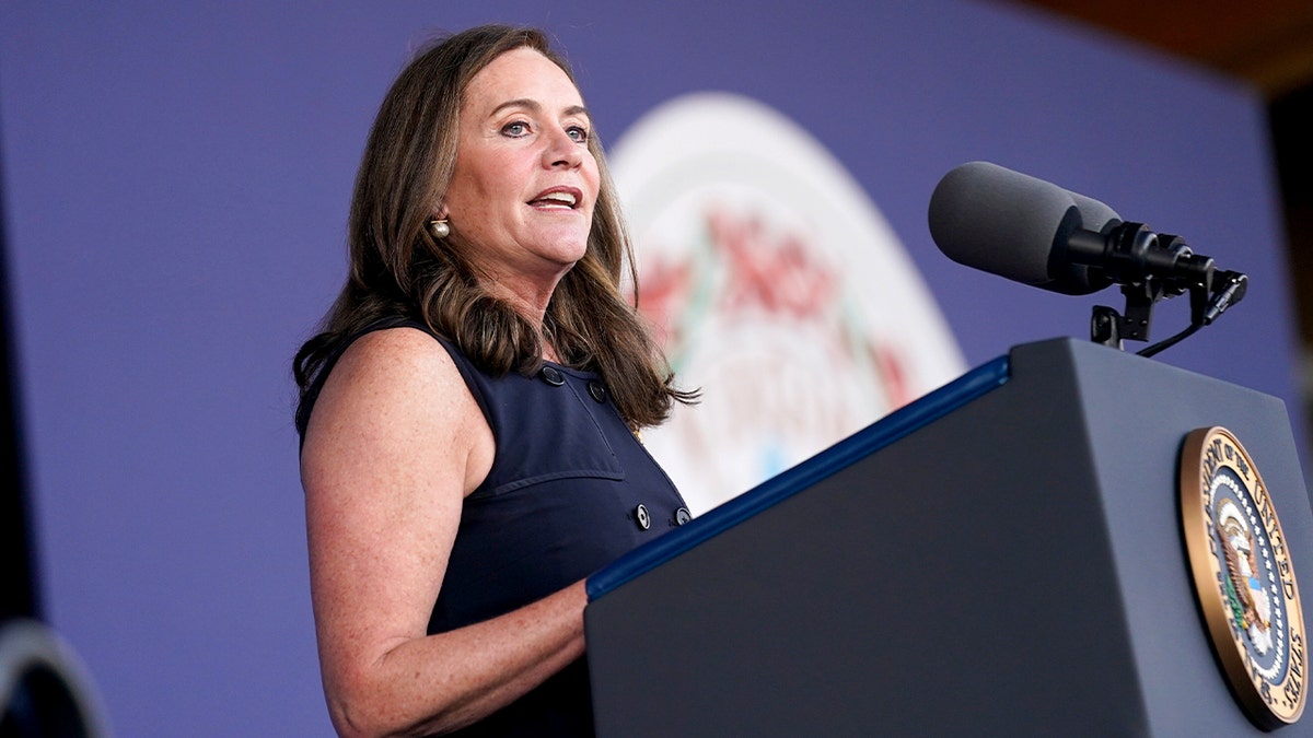 Dorothy McAuliffe addresses supporters at an outdoor park gathering in Arlington, Virginia.