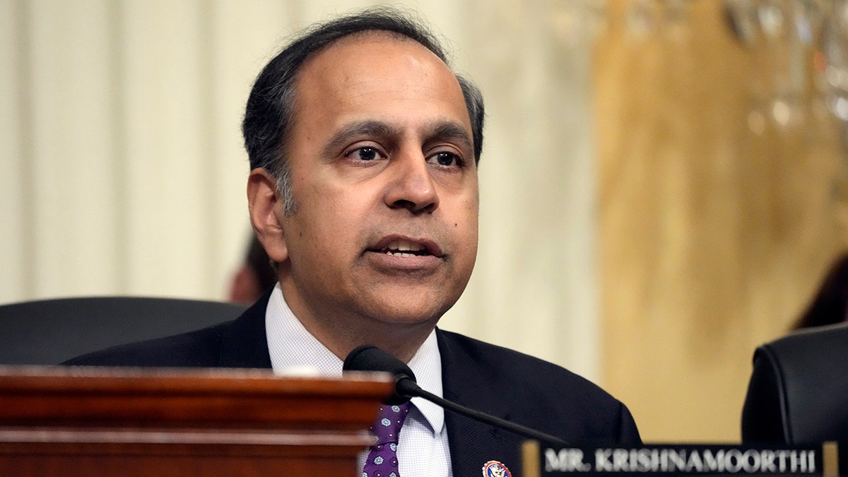 Rep. Raja Krishnamoorthi speaking during a House committee hearing in Washington