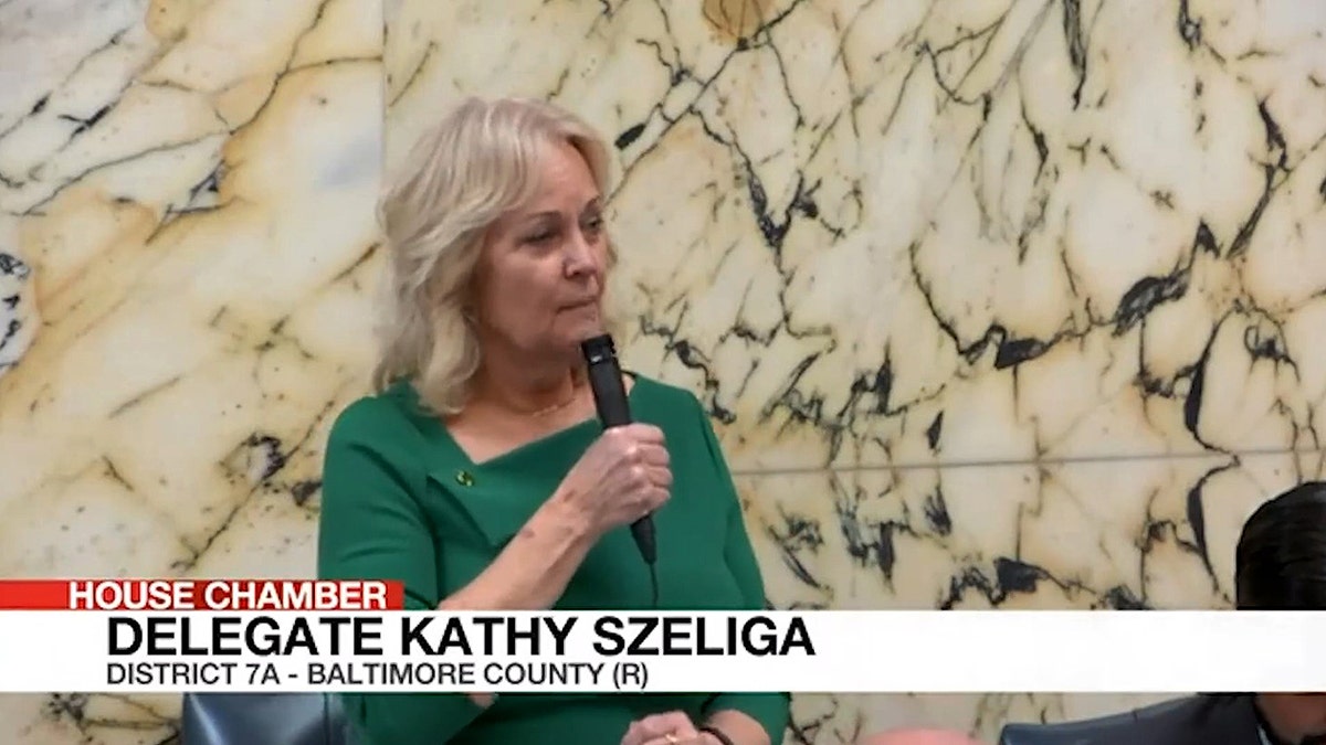 Maryland GOP Del. Kathy Szeliga