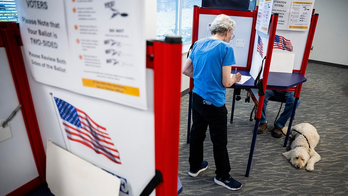Virginian woman casts ballot as pet dog looks on.