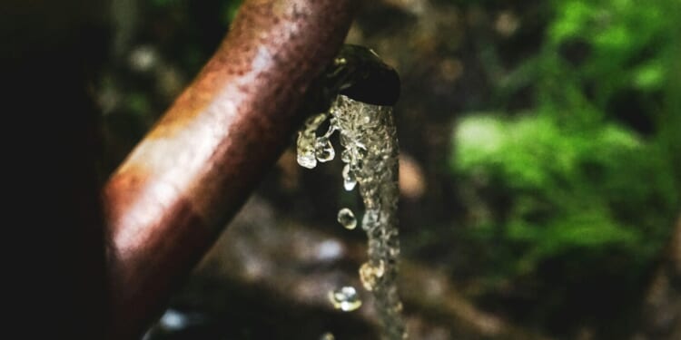 Give Me a Drink: The Samaritan's Journey from “Jew” to “Savior”