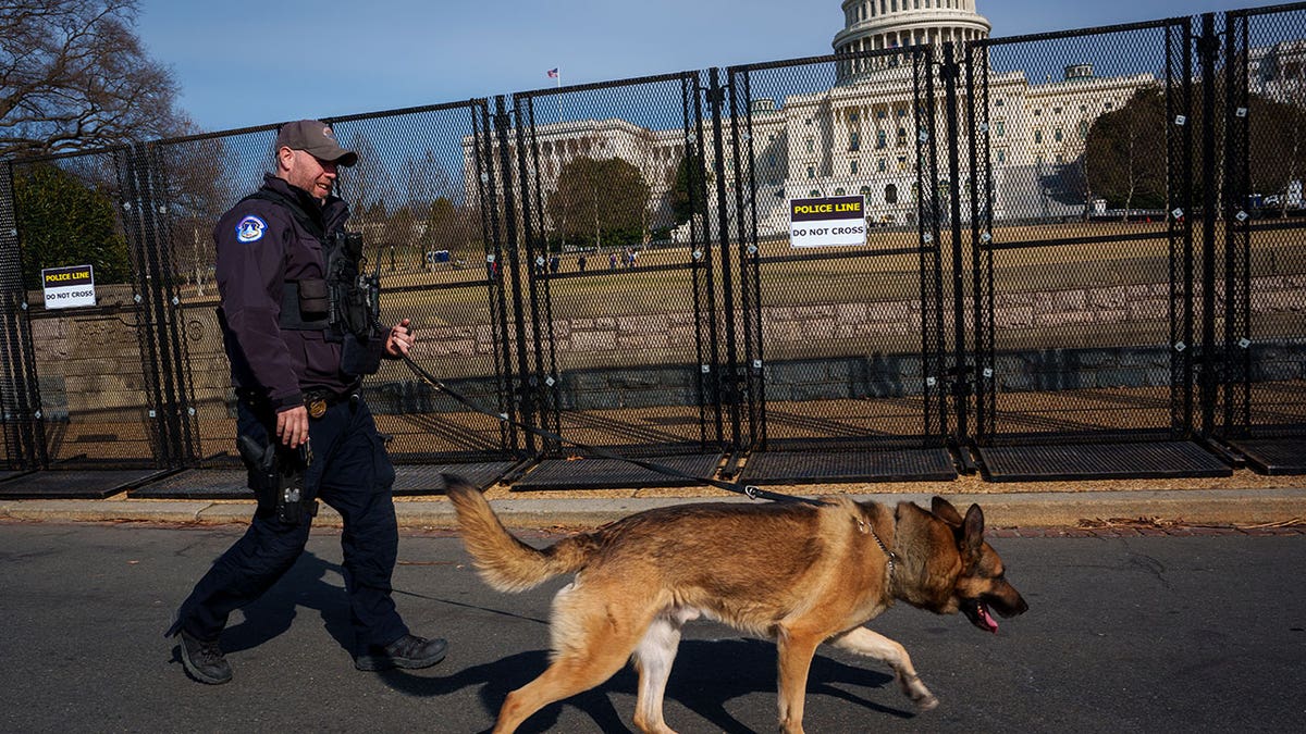 a Capitol police dog