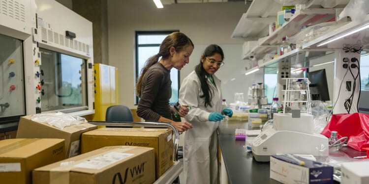 How to Break America’s Great Scientific Stagnation