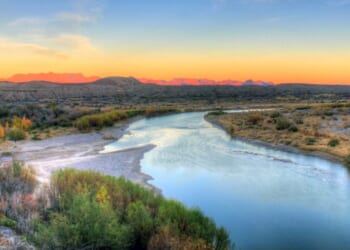 Jean Louis Berlandier and the Pious Witness of America