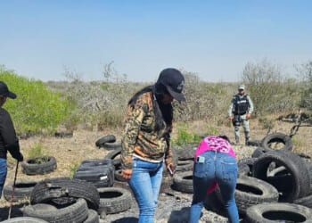 Mexico Uses Faulty Stats to Claim One-Third of Cartel Victims as Safe