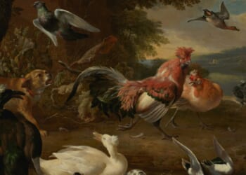 Montaigne’s Path into Pious Science