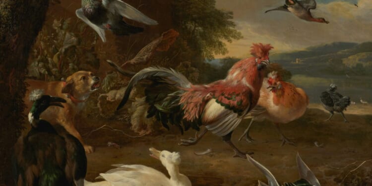 Montaigne’s Path into Pious Science