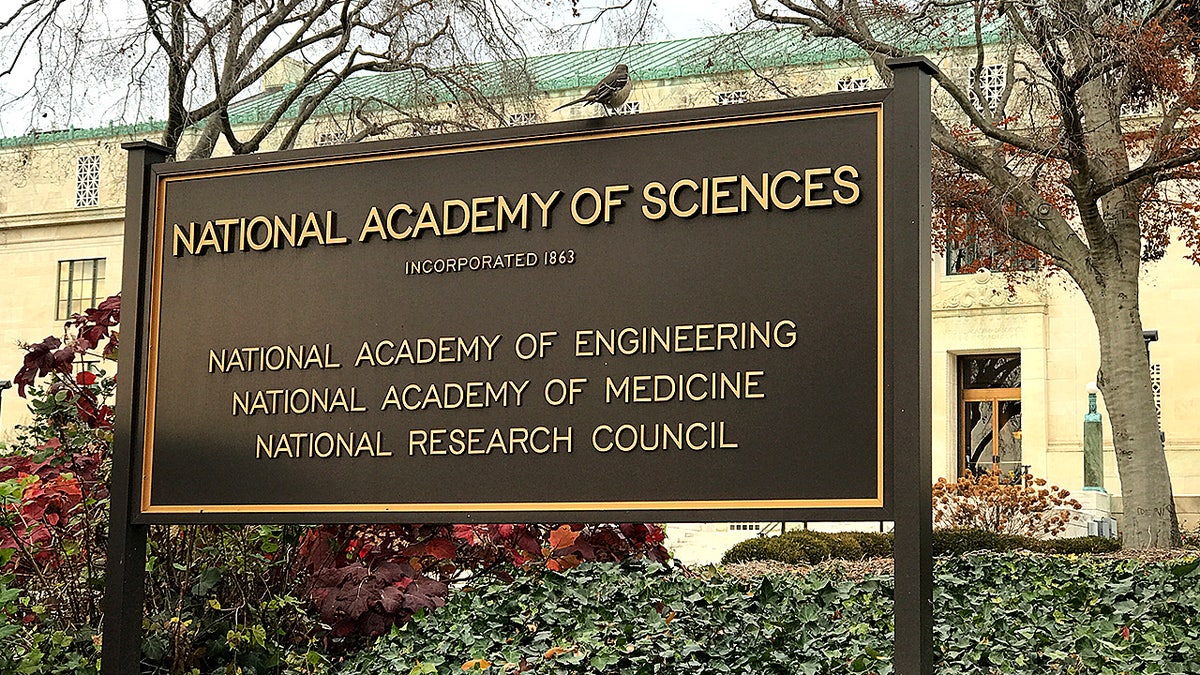 National Academy of Sciences bronze sign mounted on a stone wall.