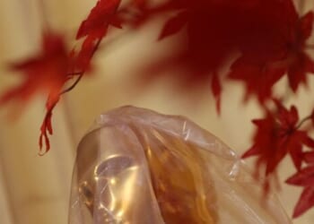 Oscars 2026: Hollywood Celebrates Itself amid 'Existential Crisis,' Looming Strikes, and Steep Decline