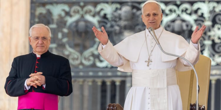 Pope Leo XIV explains the Church