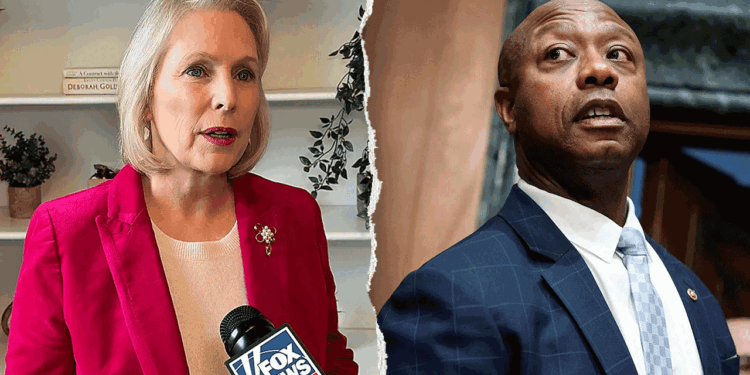 Virginia Dems send sweeping gun ban to Spanberger as West Virginia weighs expanding machine-gun access