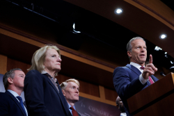 SAVE America Act: House GOP Doesn't Buy Thune 'Show'