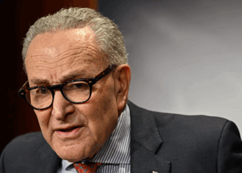 Schumer Takes Stand for 'Tens of Billions' of Illegal Aliens ICE Could Remove from Voter Rolls