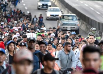 Survey Shows Few Biden Migrants Were Asylum Seekers