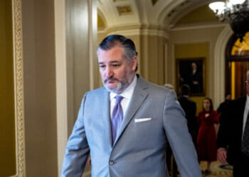 Ted Cruz Suggests Splitting ICE, CBP Funding From DHS
