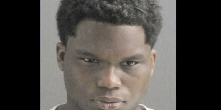 Thug who brutally raped 94-year-old in broad daylight had just been released after other rape charge was dropped, police say