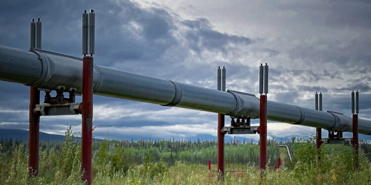 The Trans-Alaska pipeline near the Yukon River Camp in Alaska.