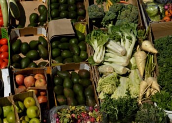 Vegetarianism and the Great Commission