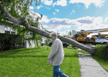 Windstorm with 100 mph Gusts Sweeps Eastward Across the U.S.
