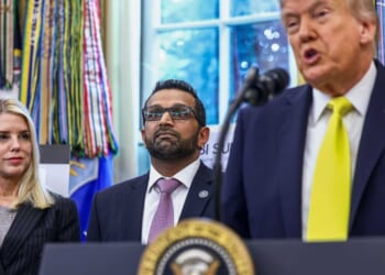 'We’re gonna hang him from the Statue of Liberty': ANOTHER man arrested for alleged threats to kill Trump