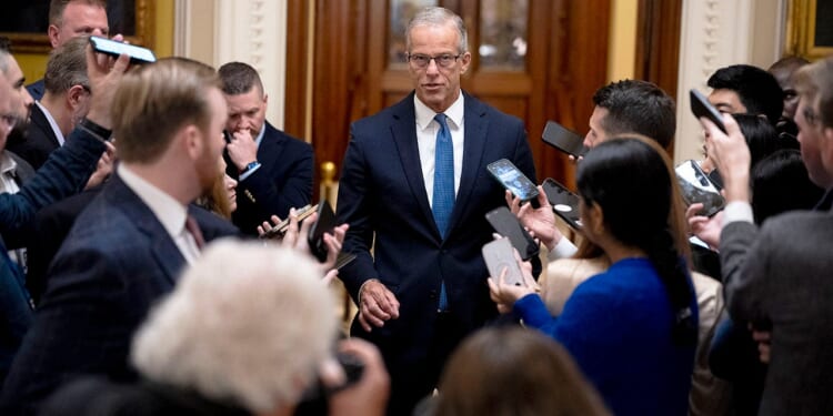 Thune says Democrats got ‘zero’ in DHS deal as shutdown drags on
