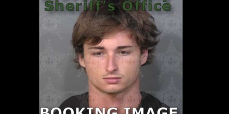 Police find suitcases with human remains surrounded by vultures — and say teen suspect left unbelievable evidence