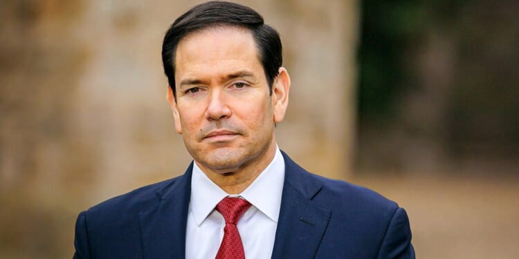 ICE arrests Soleimani's niece after State Dept terminates her legal status