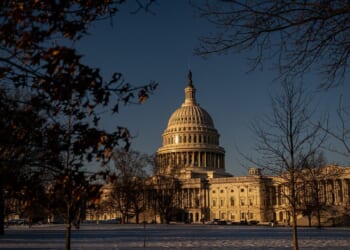 What are pro forma sessions and why do they matter for the DHS shutdown