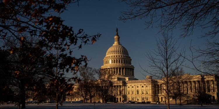 What are pro forma sessions and why do they matter for the DHS shutdown