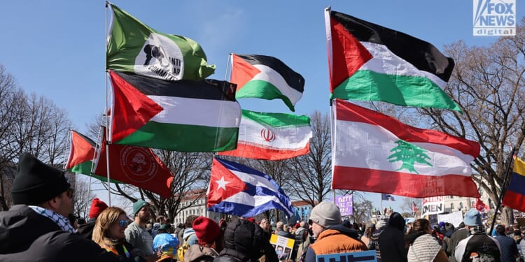 The hidden $250K production machine behind the 'No Kings' rally