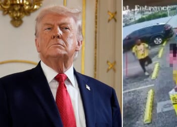 Trump condemns Florida hammer attack, blames Biden for releasing suspect