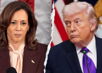 Kamala Harris mimics Trump as mob boss at National Action Network forum