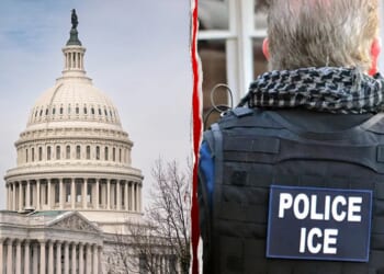 CHAD PERGRAM: Ongoing DHS shutdown setting precedent for future crises