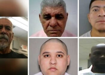 'Truly sick individuals': ICE arrests convicted murderer and sexual predators