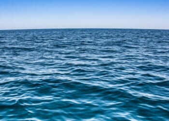 The Old Man and the Sea: A Catholic Classic for Everyone