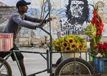 Trump administration steps in after trans-identifying man allegedly kidnaps his child to Cuba — possibly for trans surgery