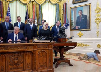 Trump highlights deaf child who can hear after 'miracle cure'