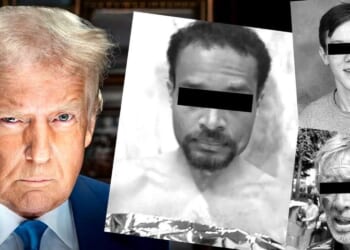 The war against ‘normal white America’: Why leftists are trying to kill your president