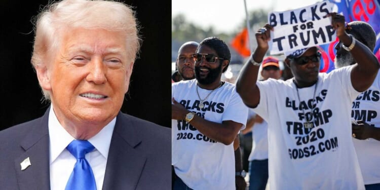 Trump is making 'absolutely STUNNING' gains in key racial demographic, says CNN data analyst