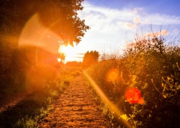 5 Steps to Recognize the Risen Christ in Our Lives