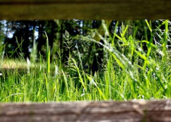 “And Then What?” Fulton Sheen on Contentment Contingencies