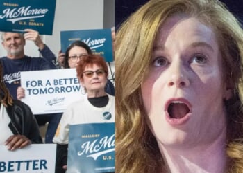 CNN unearths embarrassing deleted tweets from Michigan Democrat running for Senate — it could tank her campaign