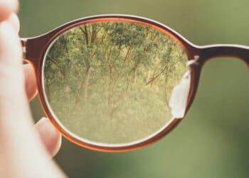 Conscience Is Not What You Think It Is, Part 2