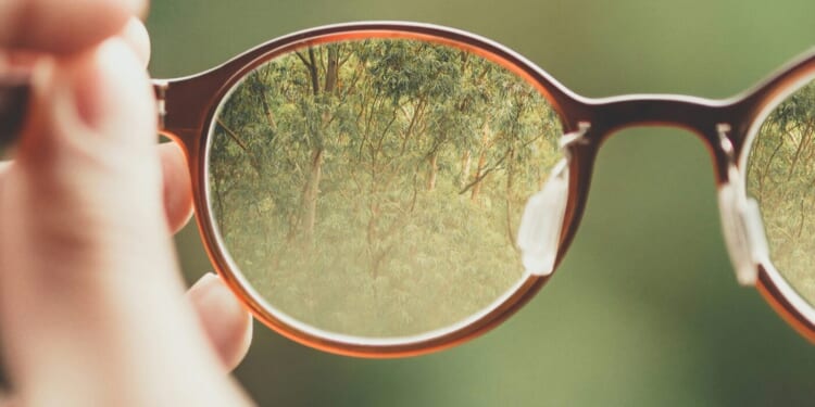 Conscience Is Not What You Think It Is, Part 2