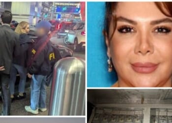 High Rolling Iranian Businesswoman Nabbed at Los Angeles Airport, Accused of Arms Trafficking
