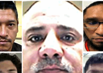 ICE Arrests Illegal Alien Killers, Child Predators, Sexual Abusers on Anniversary of Victims Unit for Angel Families