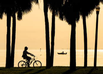 Is Florida Turning Blue?